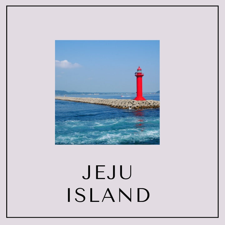 Our Special Seoul/Busan and Jeju