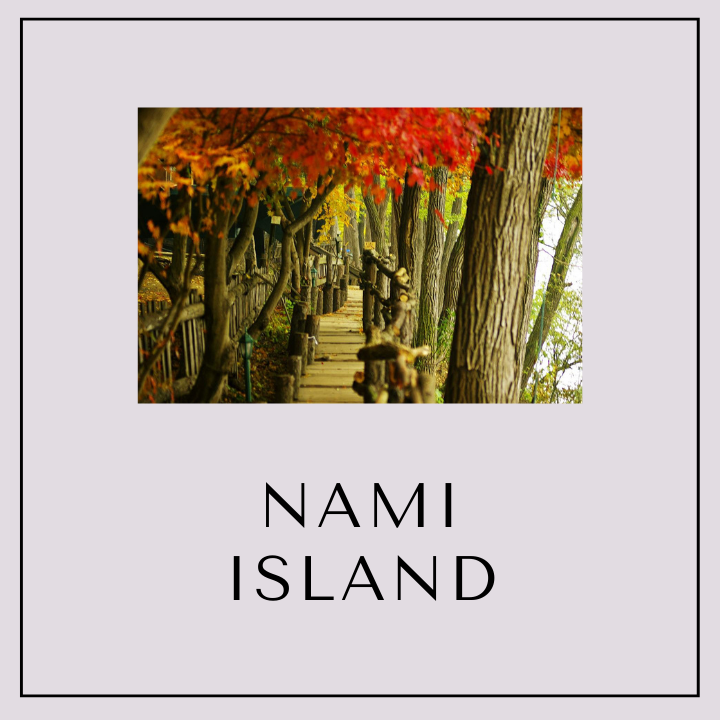 Our Special Seoul/Busan and Jeju