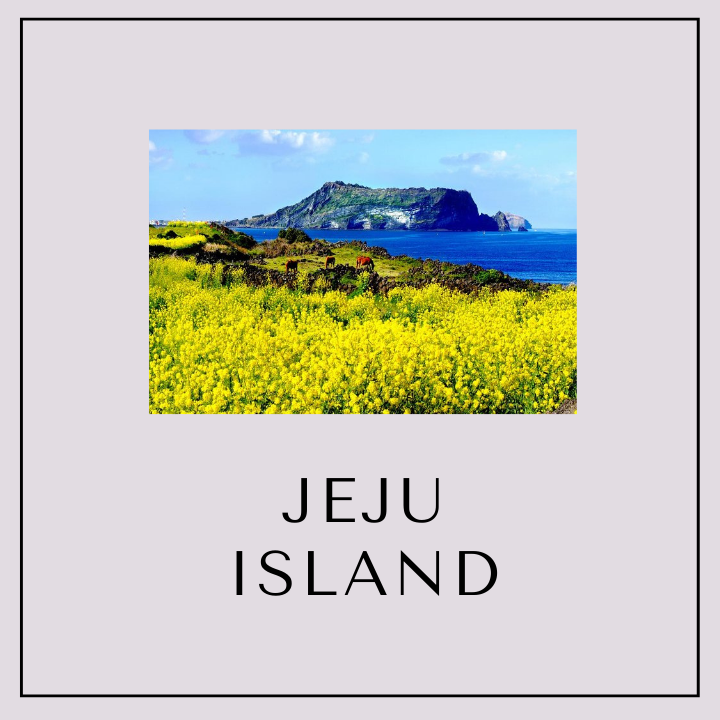 Our Special Seoul/Busan and Jeju