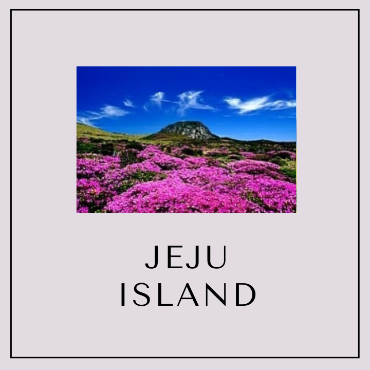 Our Special Seoul/Busan and Jeju