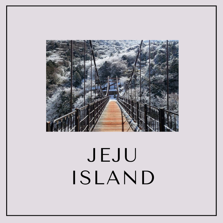 Our Special Seoul/Busan and Jeju