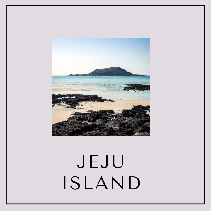 Our Special Seoul/Busan and Jeju