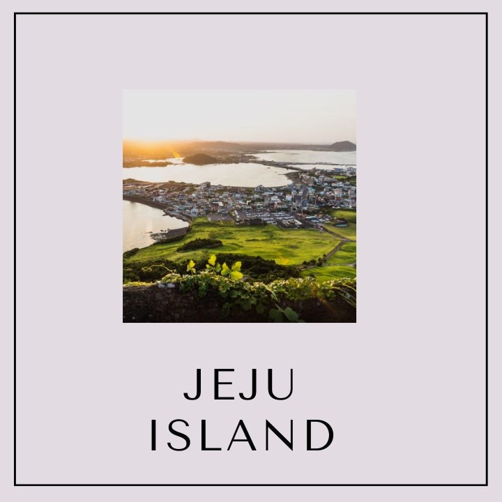 Our Special Seoul/Busan and Jeju