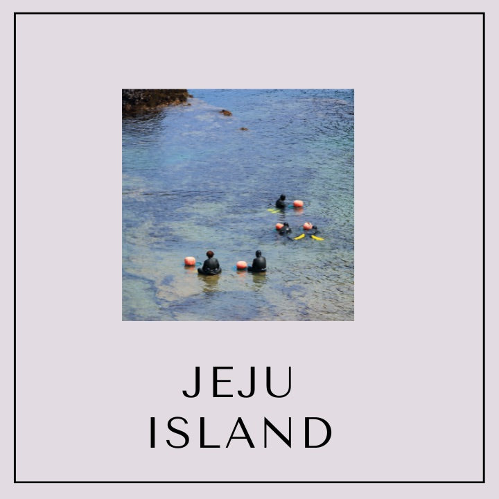 Our Special Seoul/Busan and Jeju