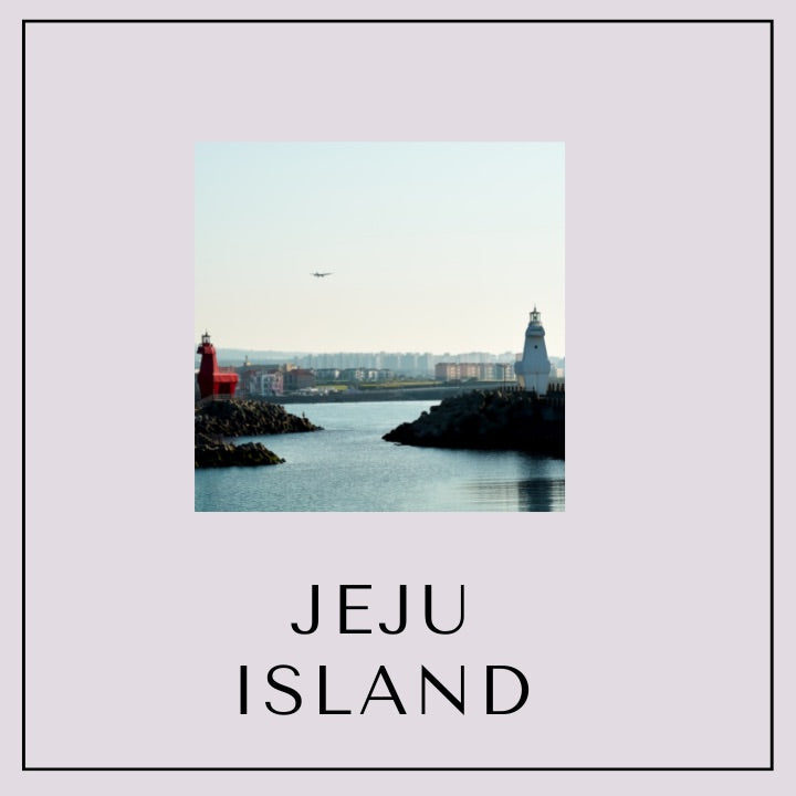 Our Special Seoul/Busan and Jeju