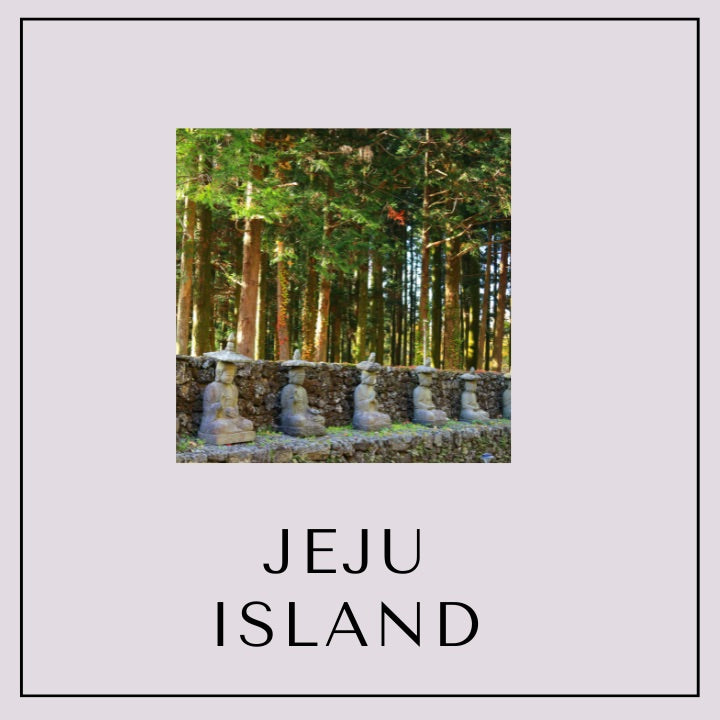 Our Special Seoul/Busan and Jeju