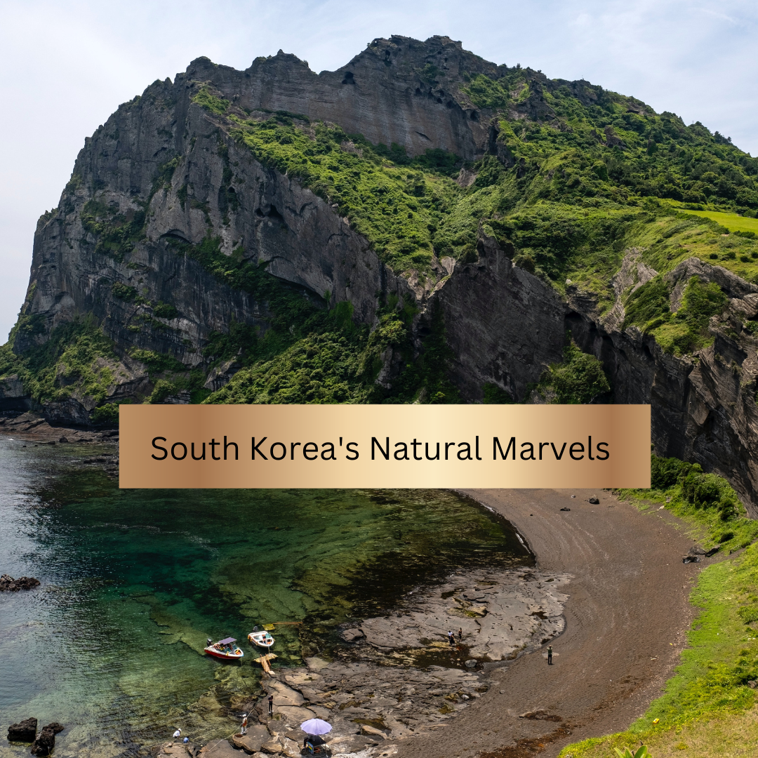 Exploring South Korea's Natural Marvels: Gypsea Knots Tour Operator's Gateway to Seoraksan, Jeju Island, Nami Island, and the Boseong Green Tea Fields